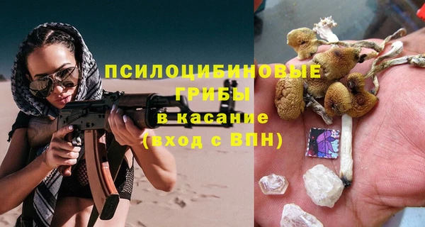 прущая мука Алзамай