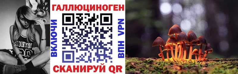 Псилоцибиновые грибы мицелий  Бикин 
